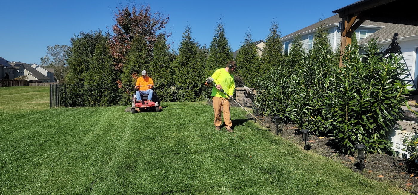 Sod Installation